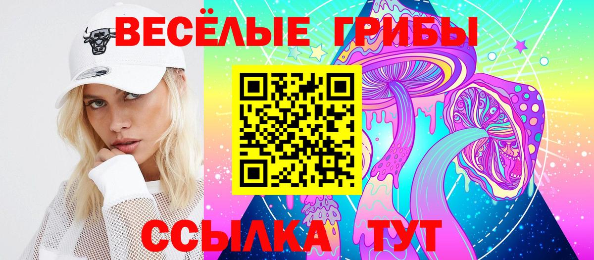Минусинск  Псилоцибиновые грибы Cubensis  Вход с VPN  Галлюциногенные грибы прущие грибы 