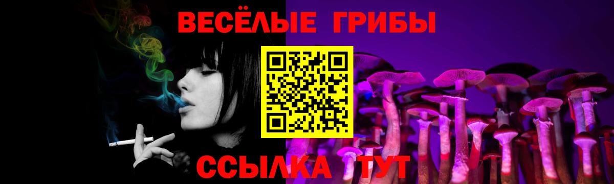 Галлюциногенные грибы Psilocybine cubensis Минусинск